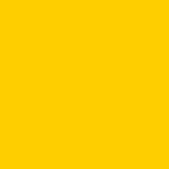 Sunflower Yellow - Gerber Edge